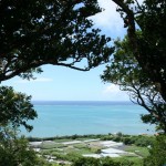 A view from Chinen castle ruins