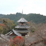 Yoshino, Nara