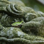 At Susa Jinja