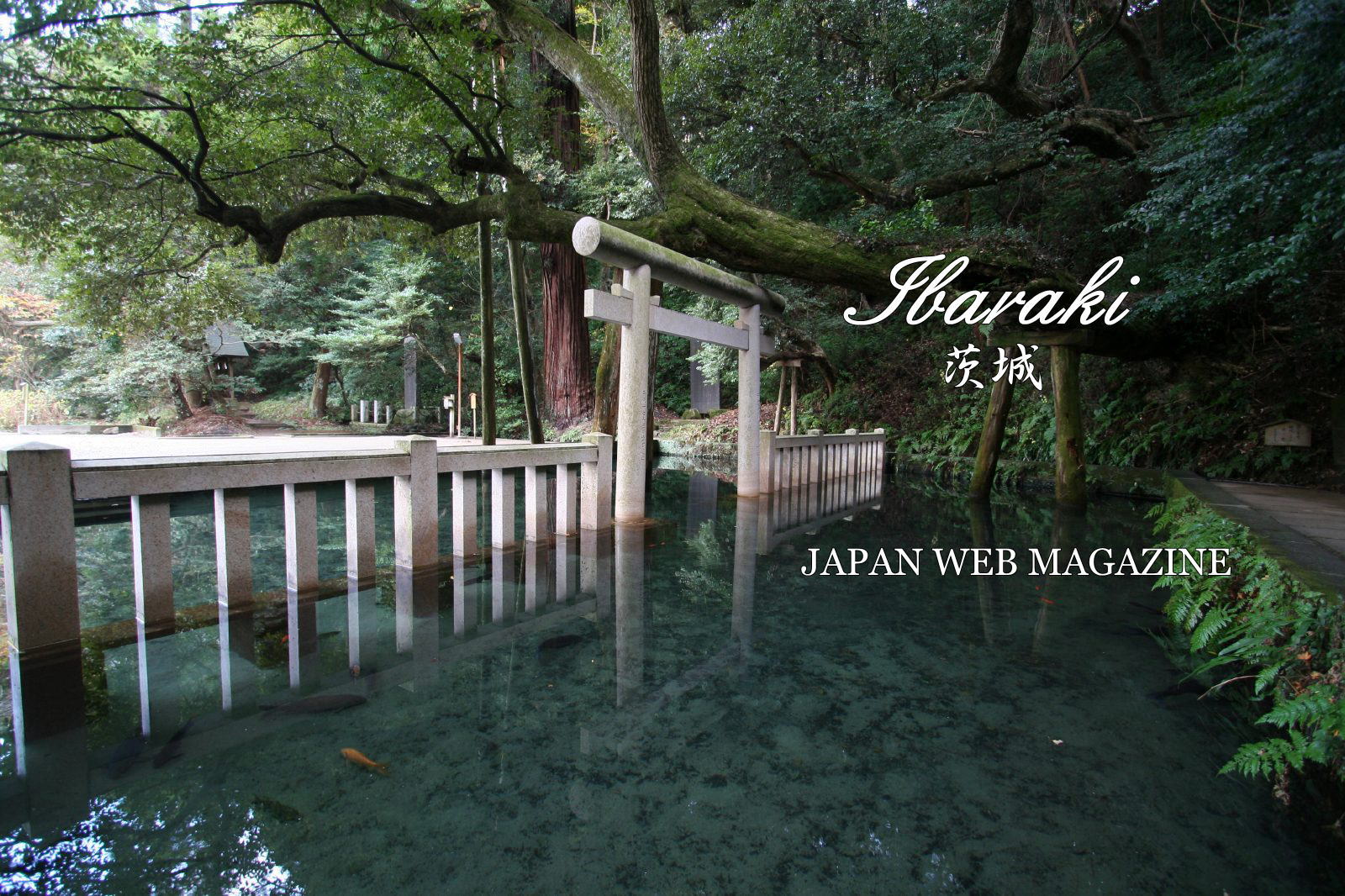 JAPAN WEB MAGAZINE